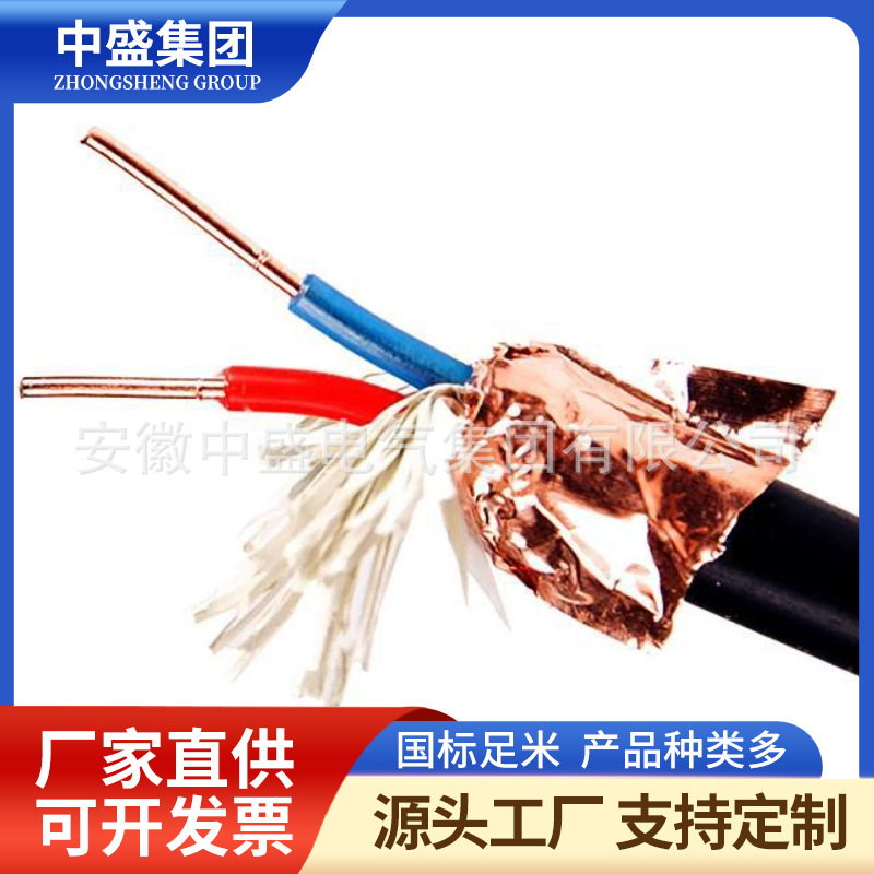 阻燃高溫計算機電纜ZRC-DJFPR2GP2